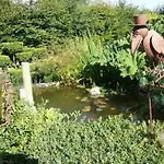 De France - Le Petit Marin