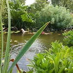 De France - Le Petit Marin Σπίτι διακοπών Brunville