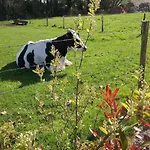 De France - Le Petit Marin Σπίτι διακοπών *