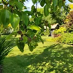 Σπίτι διακοπών De France - Le Petit Marin