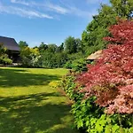 De France - Le Petit Marin