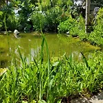 De France - Le Petit Marin *