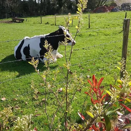 Gite Gites De France - Le Petit Marin Holiday home *