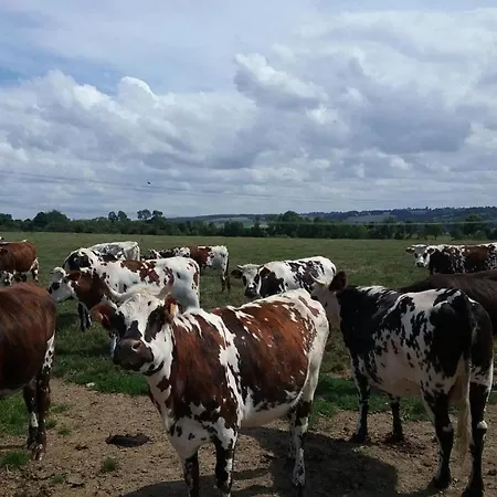 Gite Gites De France - Le Petit Marin Holiday home