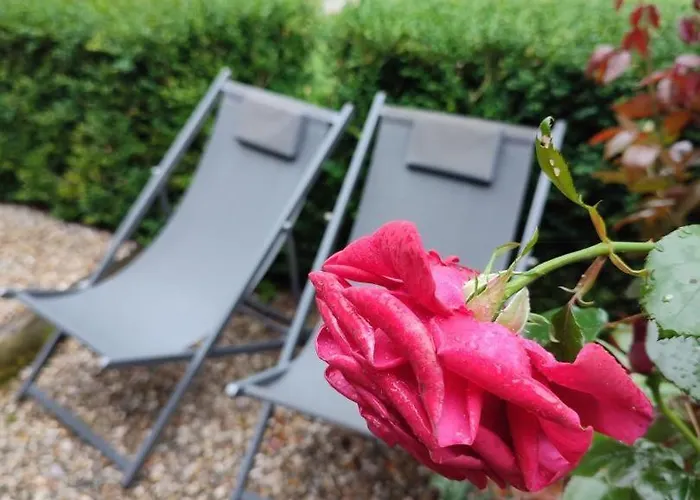 Dom wakacyjny De France - Le Petit Marin