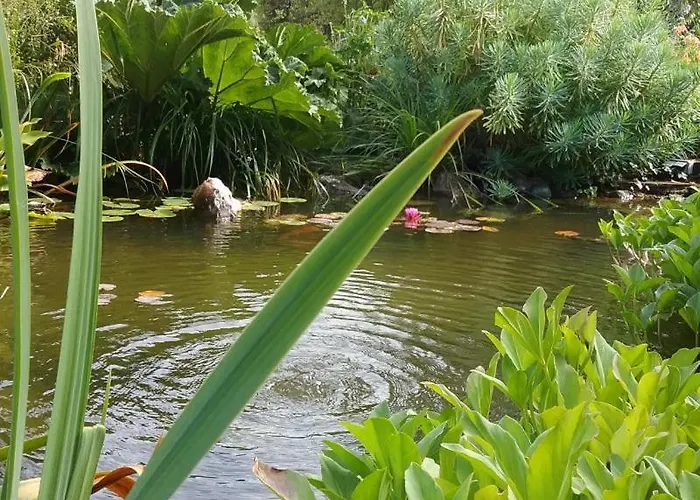 Gite Gites De France - Le Petit Marin Holiday home Brunville