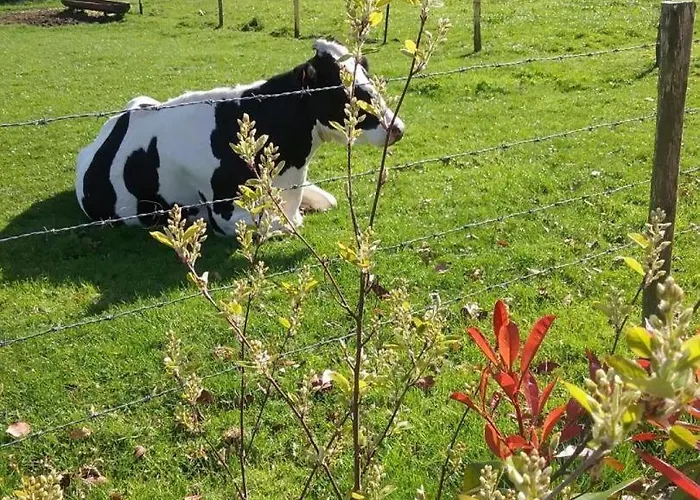 De France - Le Petit Marin Dom wakacyjny *