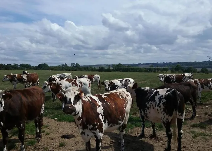 De France - Le Petit Marin Dom wakacyjny