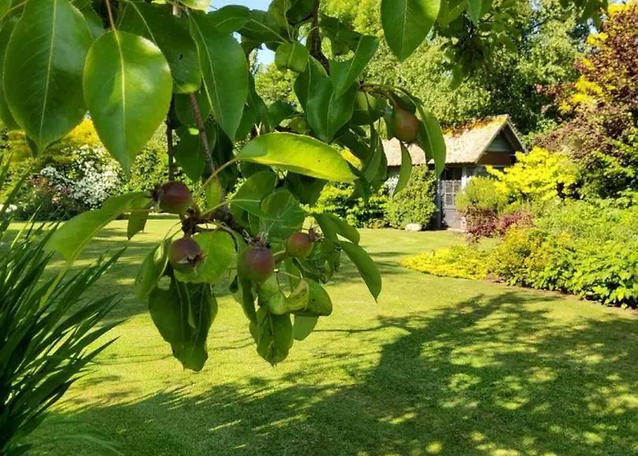 Holiday home Gite Gites De France - Le Petit Marin