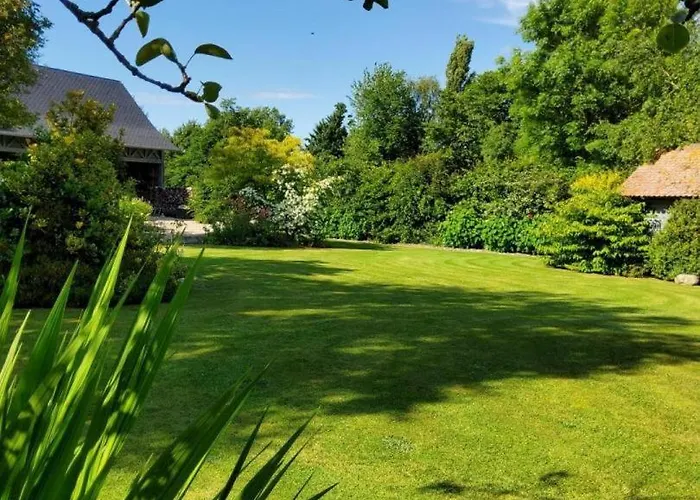 De France - Le Petit Marin