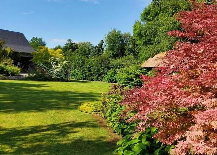 De France - Le Petit Marin