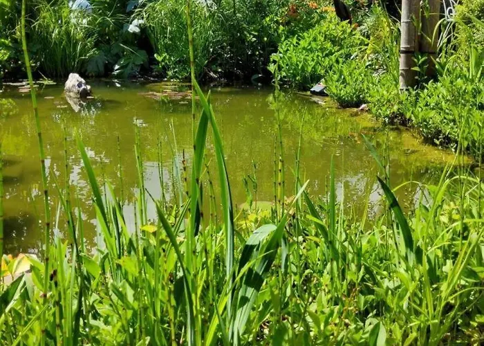 De France - Le Petit Marin *